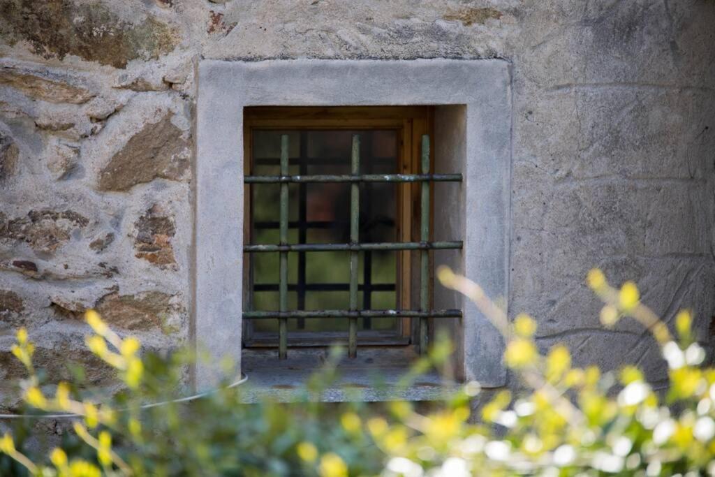 La Casa Di Sandra A Noliヴィラ エクステリア 写真
